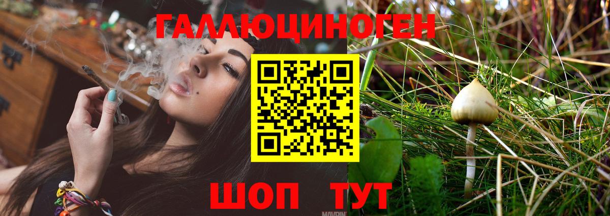 Чистополь  Галлюциногенные грибы Cubensis  Вход с VPN 